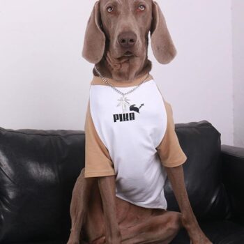 Vêtements Grands Chiens Pika | 2025