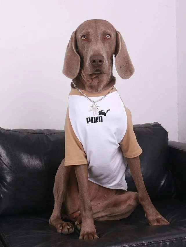 Vêtements Grands Chiens Pika | 2025