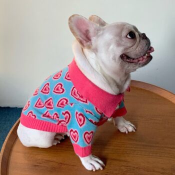 Pull pour chien Coeur rose | 2024