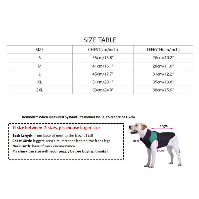 Robe Prada pour Chiens - Élégance Canine de Luxe | 2024
