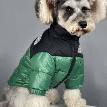 Veste pour chien The North Face | 2024