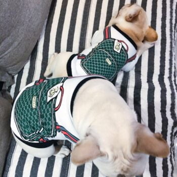 T-shirt pour chien Gucci | 2024