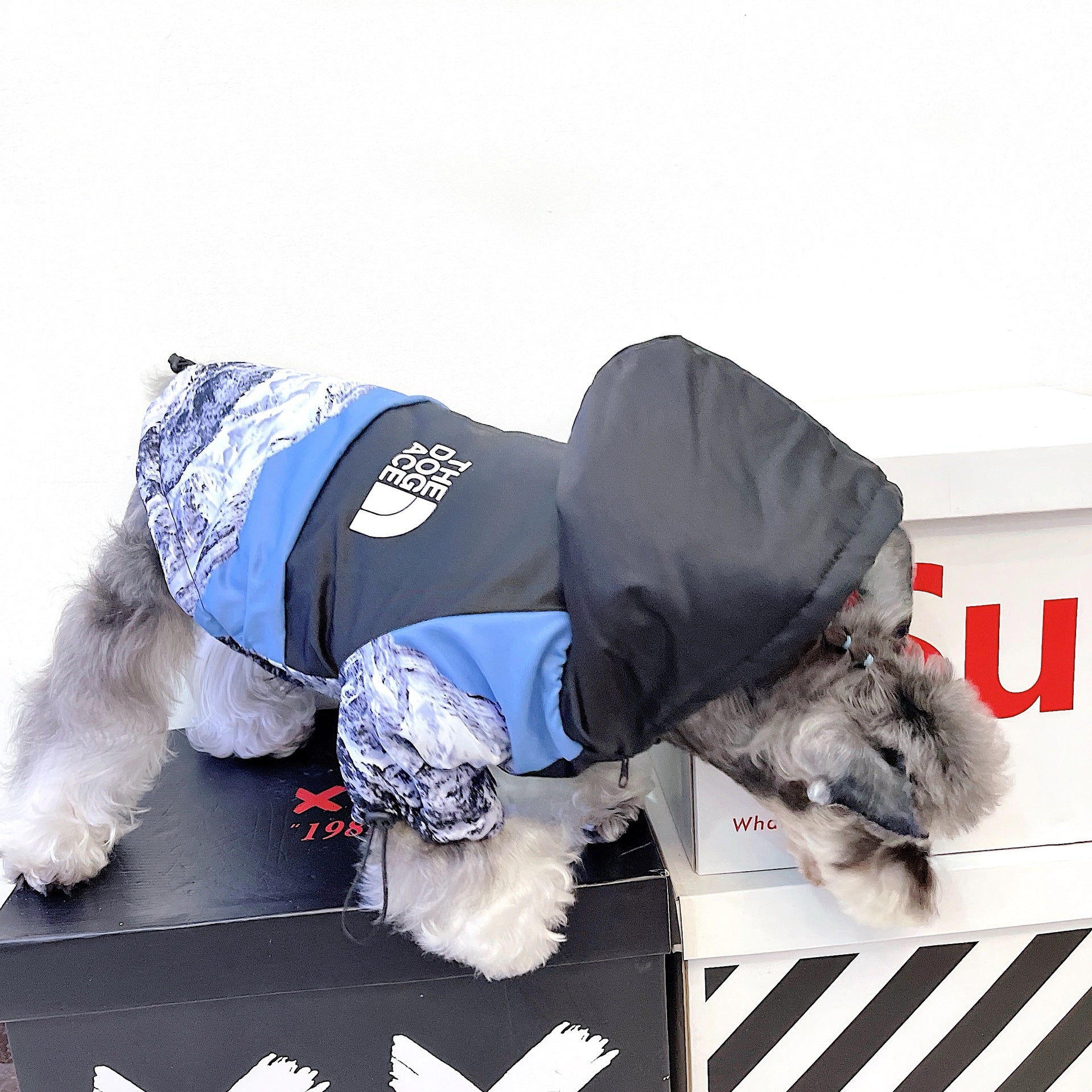 Veste pour chien The North Face - 2025 - Vêtement et accessoires pour chiens - Doglovedesign