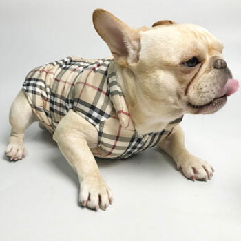 Veste pour chien Burberry | 2024