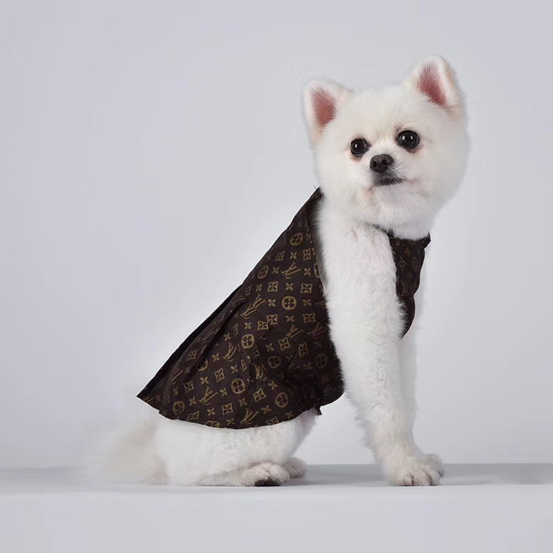 Robe Louis Vuitton pour Chiens - Élégance Canine de Luxe | 2024