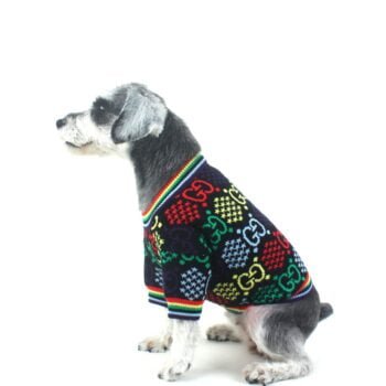 Pull pour chien Gucci | 2024