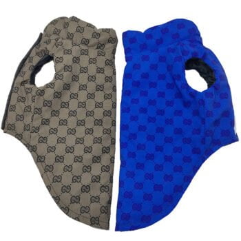 Veste pour chien Pawcci - 2025 - Vêtement et accessoires pour chiens - Doglovedesign