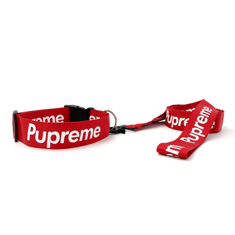 Accessoires de Luxe pour Chiens : Laisse et Collier Supreme | 2024