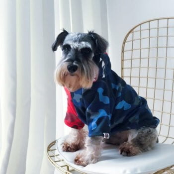 Sweat à capuche pour chien Bape | 2025