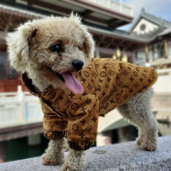 Veste pour chien Louis Pawtton | 2025