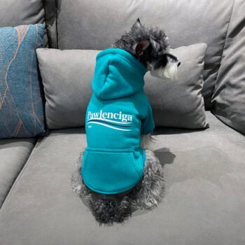 Sweat à capuche pour chien Balenciaga | 2024