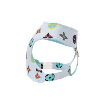 Collier et Harnais Pawtton pour Chiens - 2025 - Vêtement et accessoires pour chiens - Doglovedesign