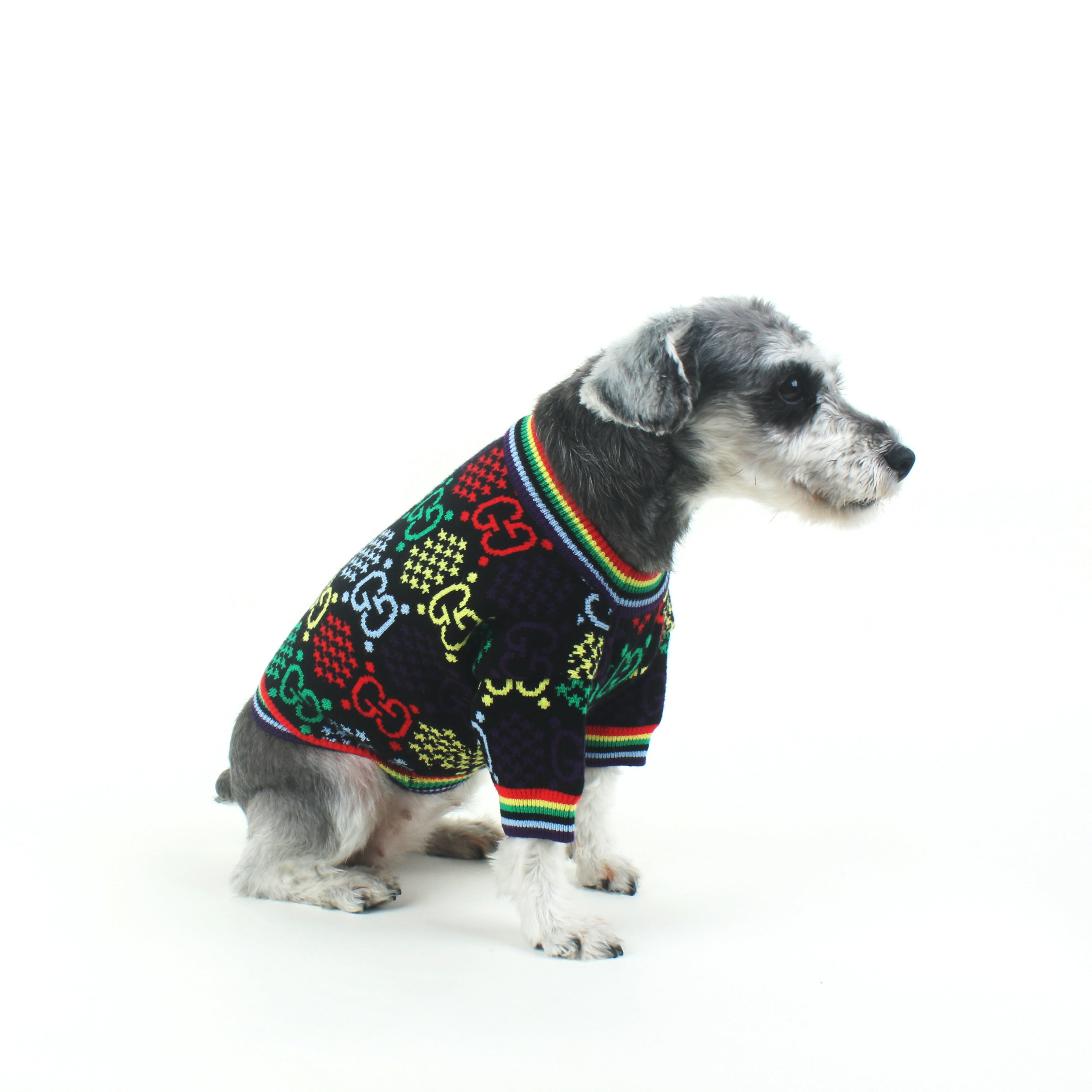 Pull pour chien Gucci | 2024