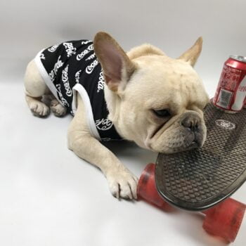 Gilet sans manches pour chien Coca Cola | 2024