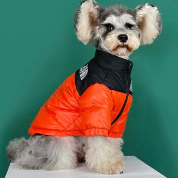 Veste pour chien The North Face | 2024