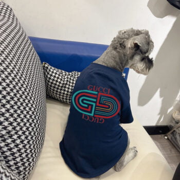 T-shirt pour chien Gucci | 2024