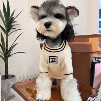 Pull pour chien Chanel | 2024