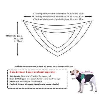 Bandana chien Dior : Le luxe à la portée de votre toutou - 2025 - Vêtement et accessoires pour chiens - Doglovedesign