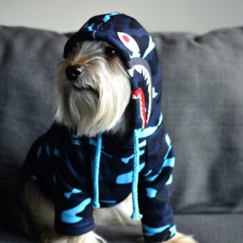 Sweat à capuche pour chien Bape | 2025