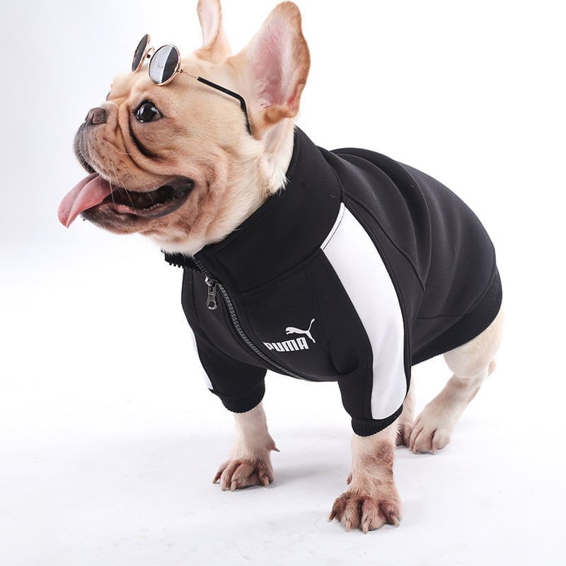 Veste pour chien Puma | 2024