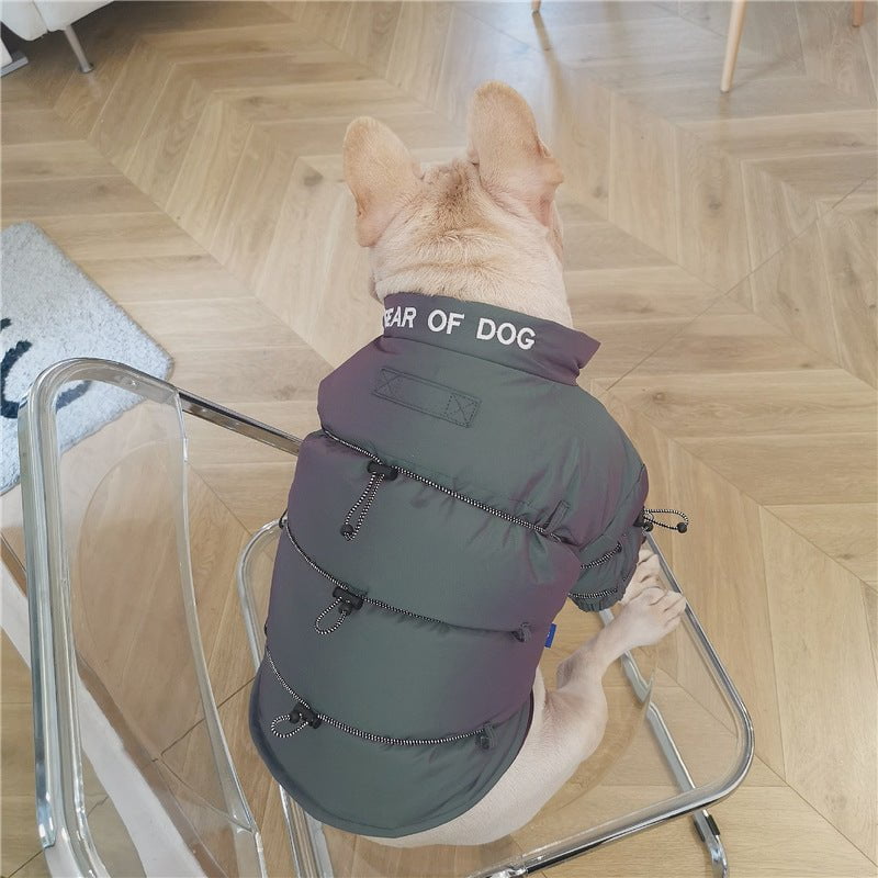 Veste pour chien | 2024