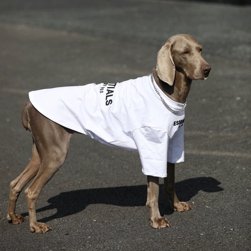 T-shirt pour chien Essentials | 2023