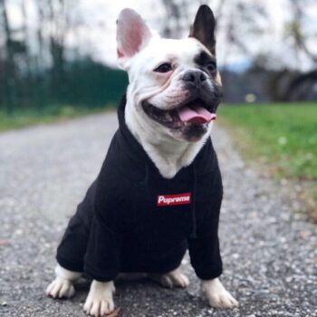 Sweat à capuche pour chien Supreme | 2024