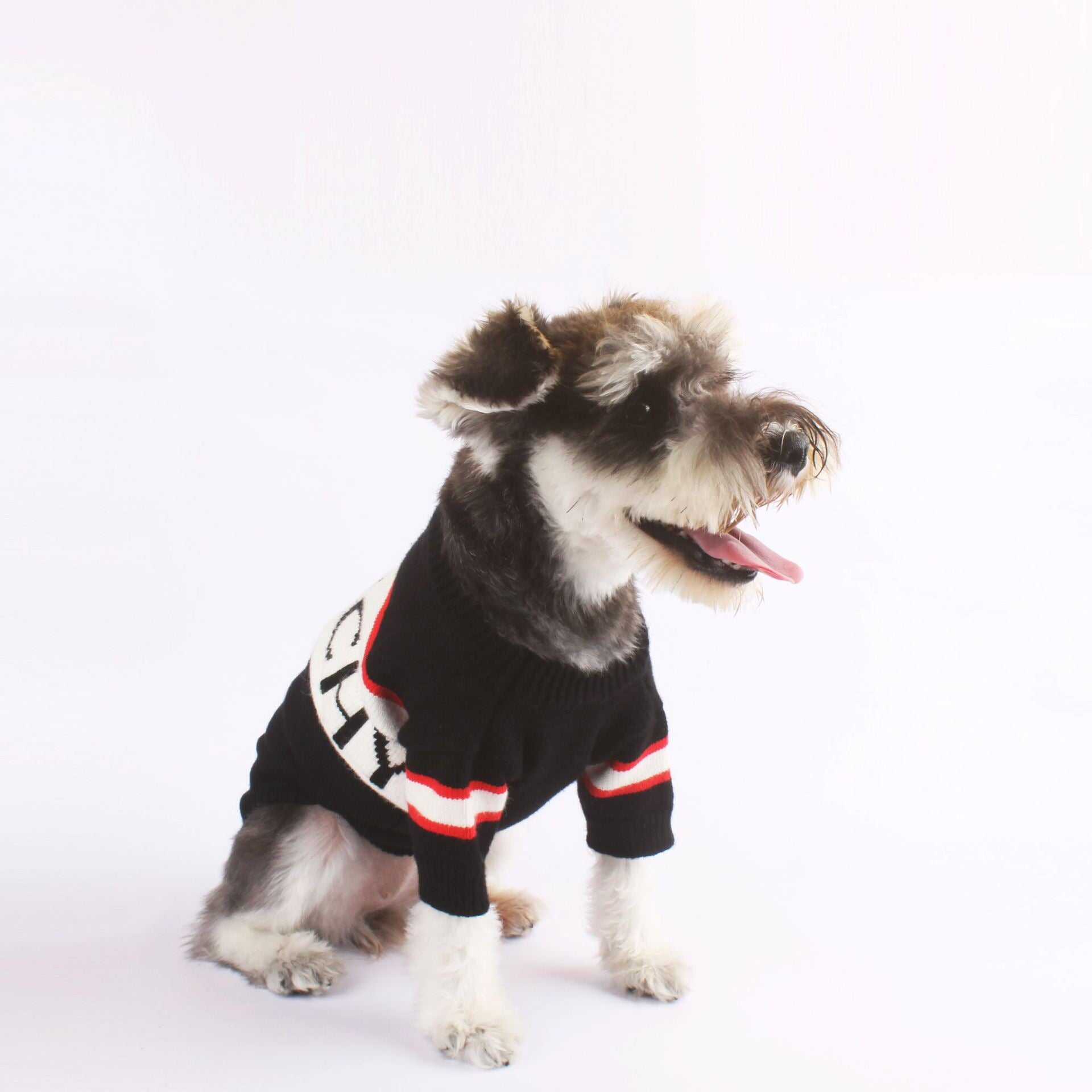 Pull pour chien Givenchy | 2024