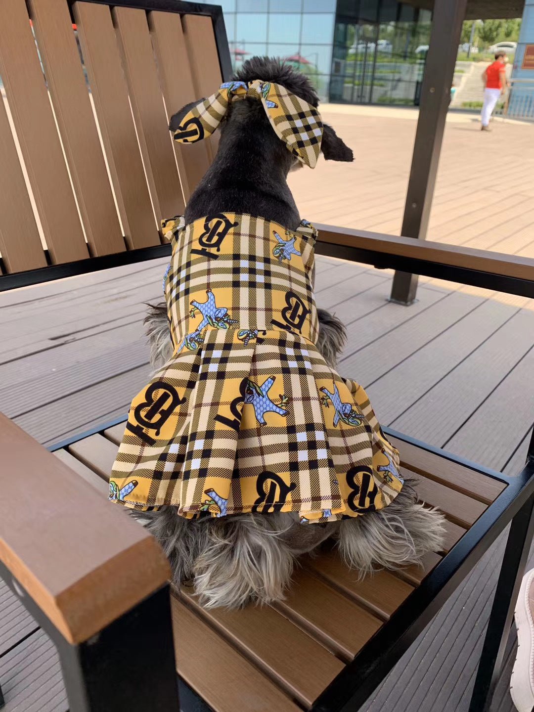 Robe Burberry Luxe pour Chiens | 2024
