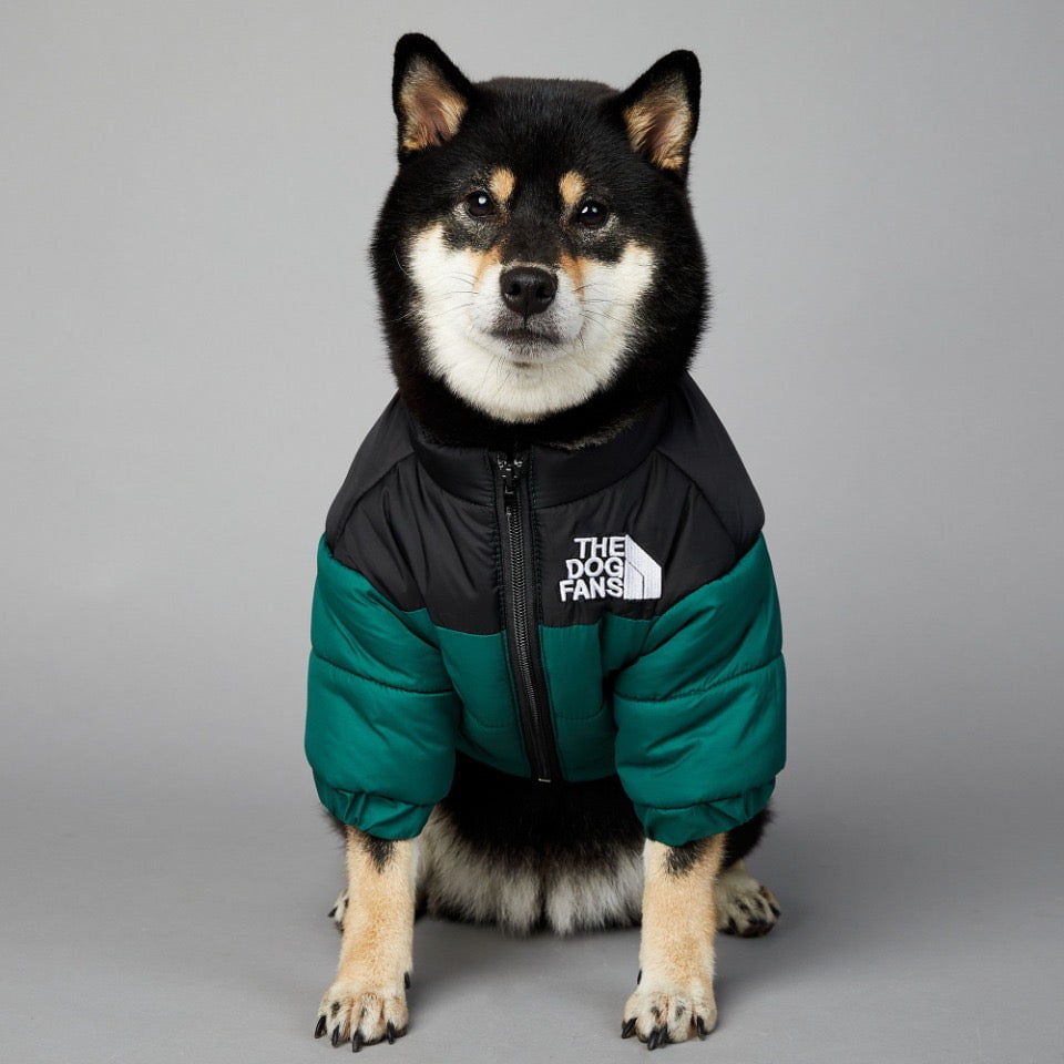 Veste pour chien The North Face | 2024