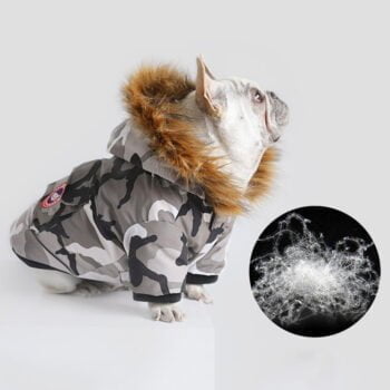 Veste pour chien Canada Goose | 2024