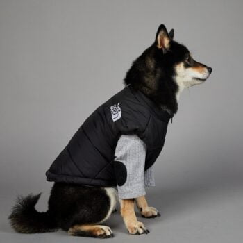 Manteau de luxe THE DOG FANS - 2025 - Doglovedesign : Vêtement et accessoires pour chiens