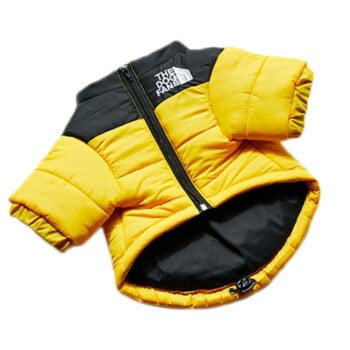 Veste pour chien The North Face - 2025 - Vêtement et accessoires pour chiens - Doglovedesign