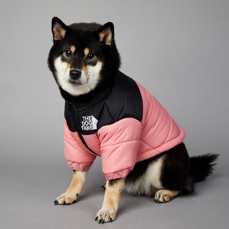 Veste pour chien The North Face | 2024