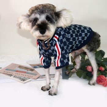 Veste pour chien Pawcci - 2025 - Vêtement et accessoires pour chiens - Doglovedesign