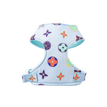 Collier et Harnais Pawtton pour Chiens - 2025 - Vêtement et accessoires pour chiens - Doglovedesign
