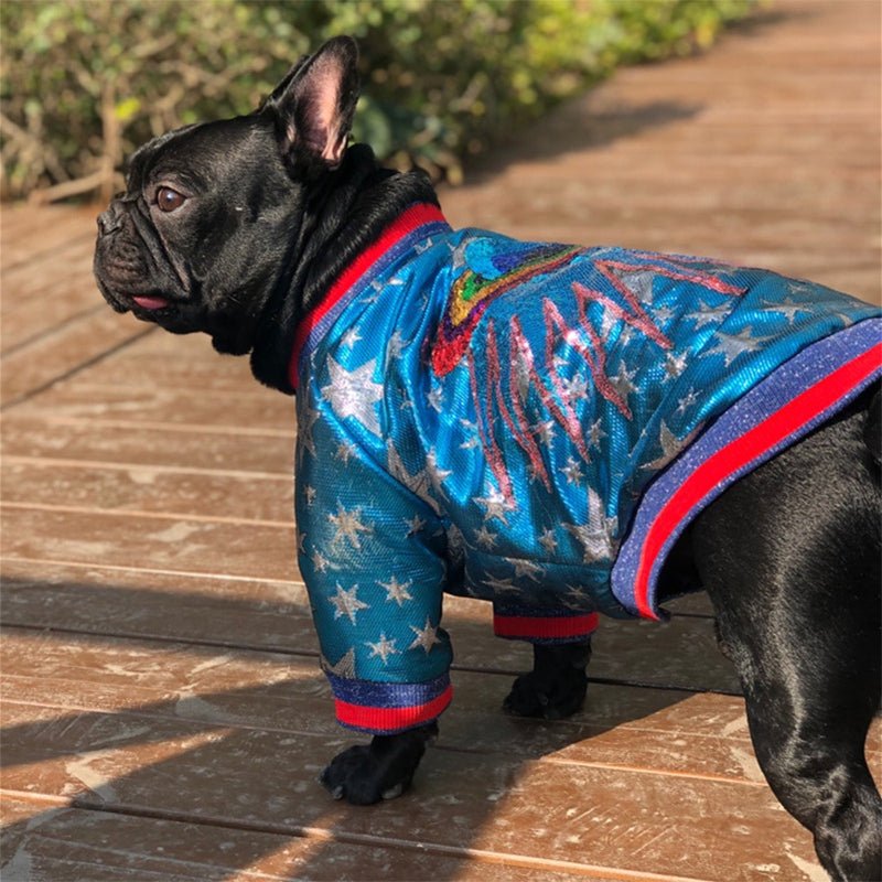 Veste pour chien Gucci | 2024