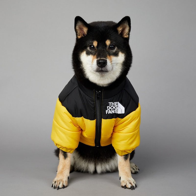 Veste pour chien The North Face | 2024