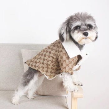 Veste pour chien Gucci | 2024