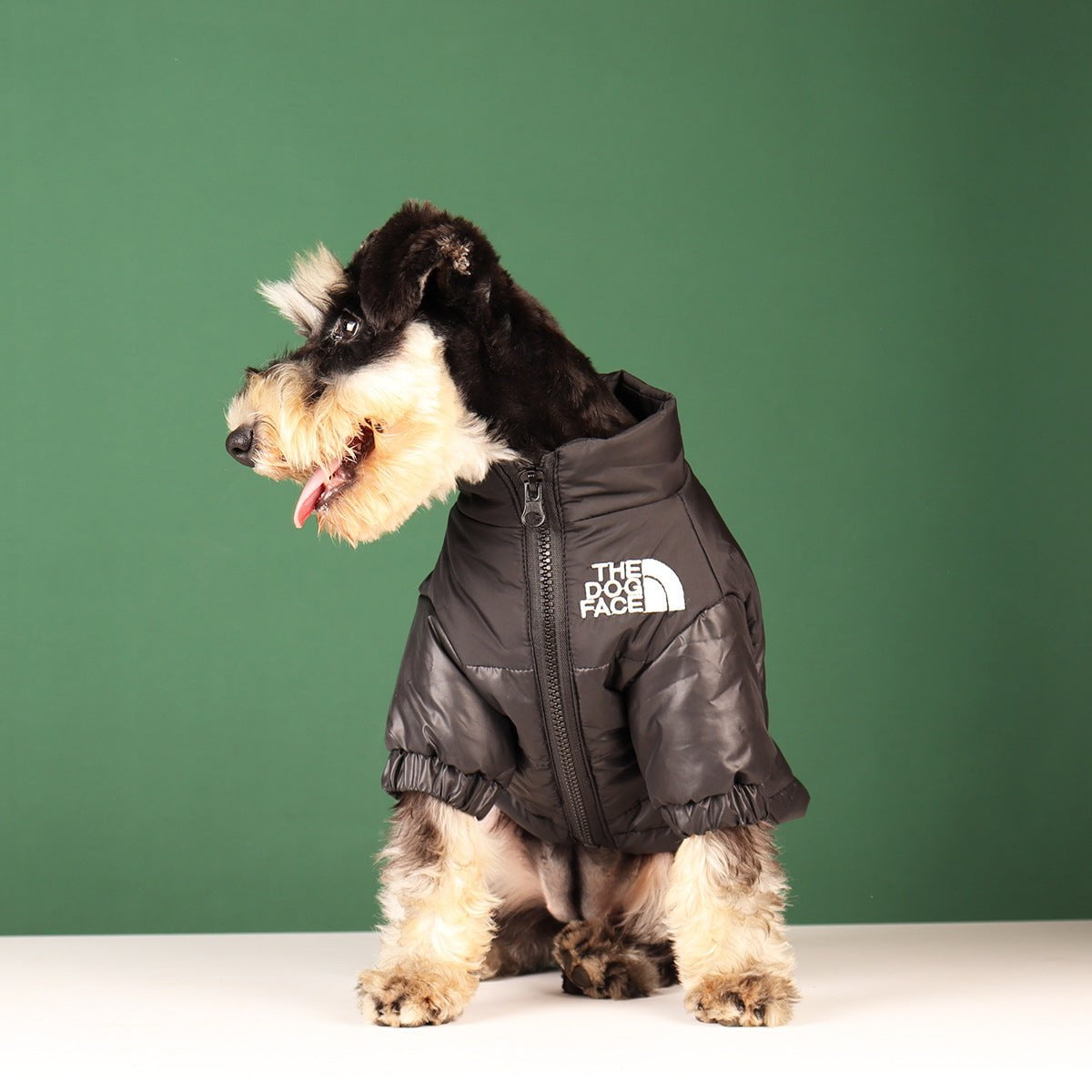 Veste pour chien The North Face - 2025 - Vêtement et accessoires pour chiens - Doglovedesign