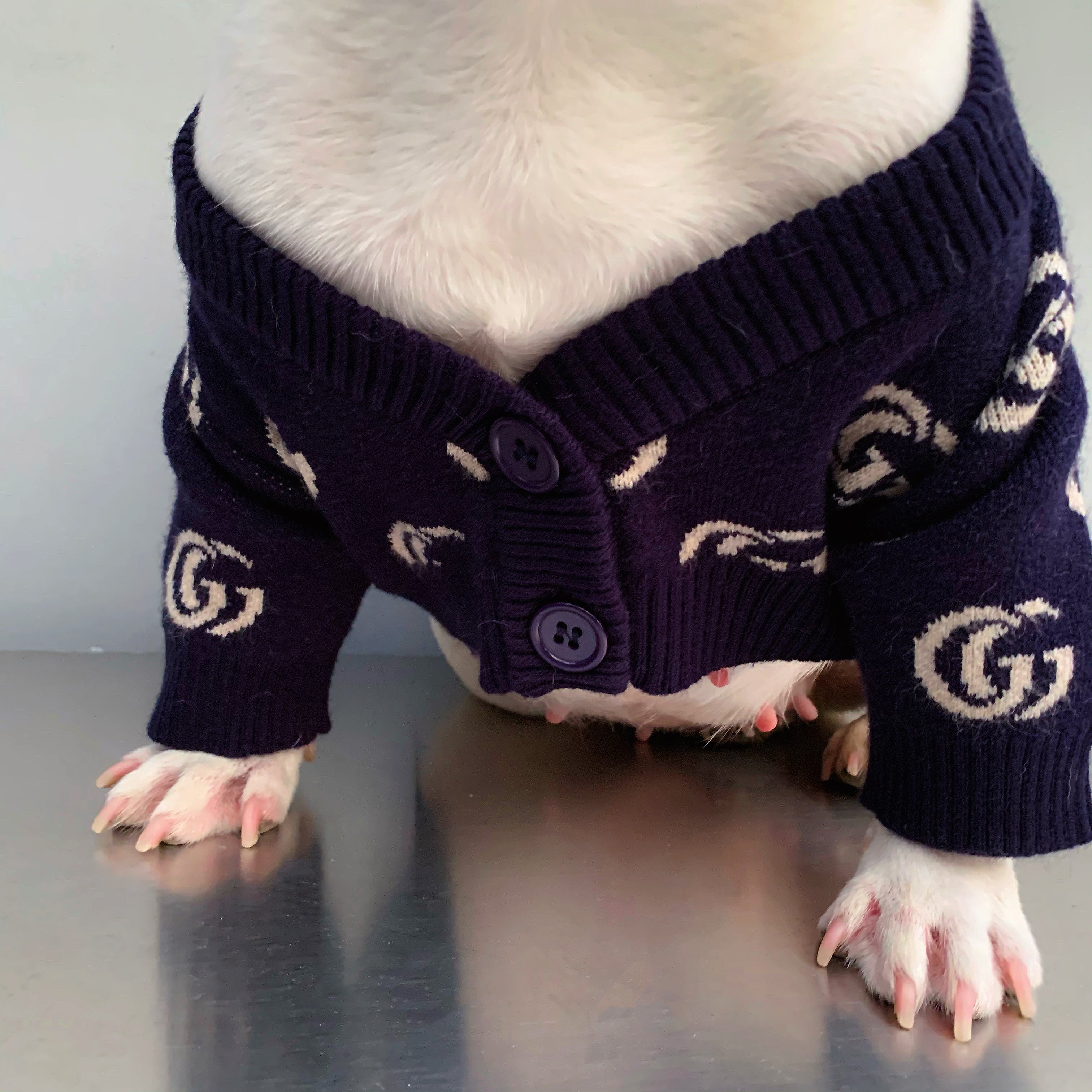 Pull pour chien Gucci | 2024