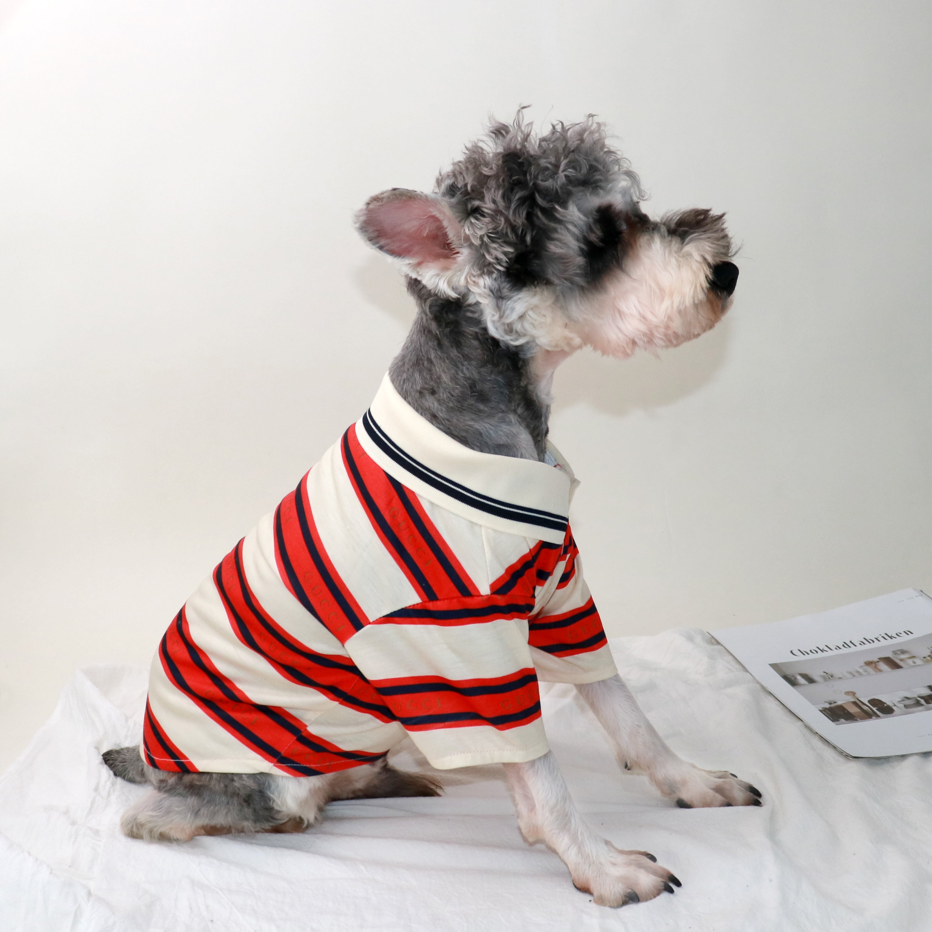 T-shirt pour chien Gucci | 2025