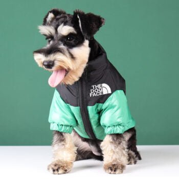 Veste pour chien The North Face | 2024