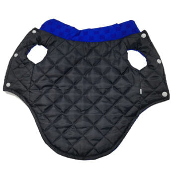 Veste pour chien Pawcci - 2025 - Vêtement et accessoires pour chiens - Doglovedesign