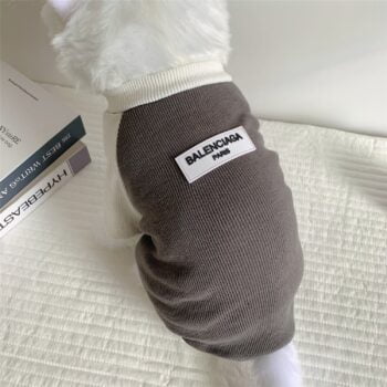 T-shirt pour chien Balenciaga | 2024