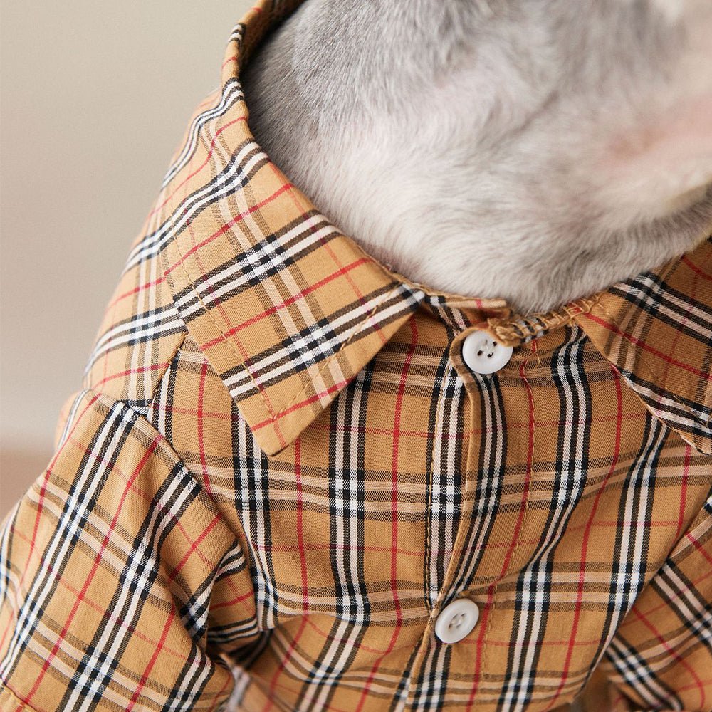 Chemise pour chien Burberry | 2024