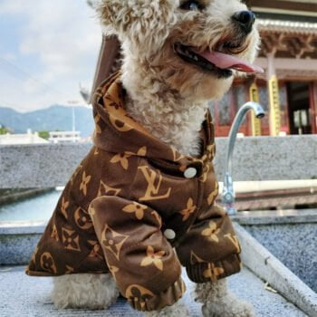 Veste pour chien Louis Pawtton | 2025