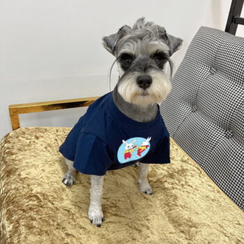 T-shirt pour chien Pawcci - 2025 - Vêtement et accessoires pour chiens - Doglovedesign