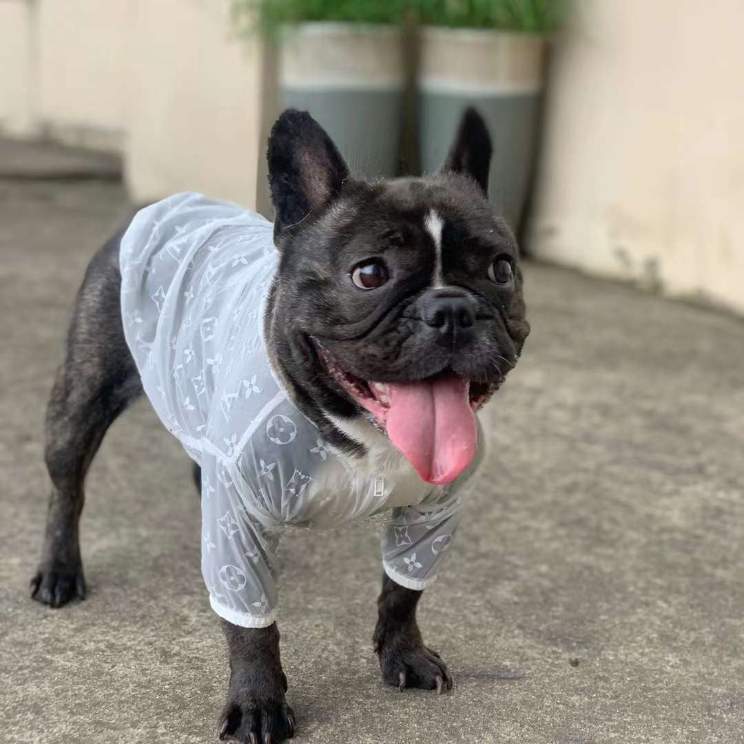 Sweat à capuche pour chien Fendi | 2024