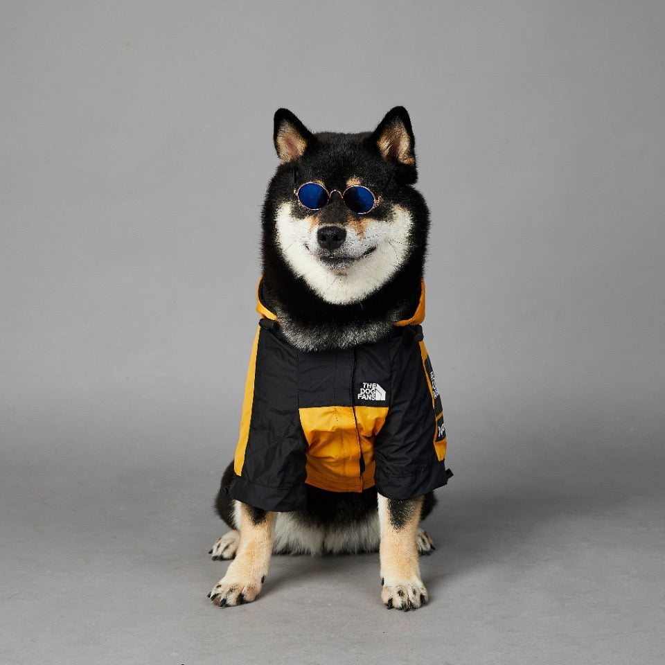 Sweat à capuche pour chien The North Face | 2024